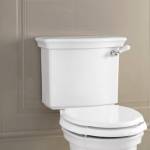 Бачок белый Devon&Devon Westminster IBCBWES. Фото